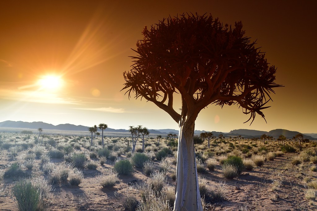 Northern Cape